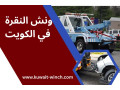 onsh-alnkr-fy-lkoyt-shb-oankath-syarat-bsraa-oaman-24-saaa-small-0