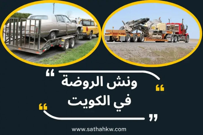 onsh-alrod-fy-alkoyt-24-saaa-sth-okryn-alrod-lkhdm-alnkl-big-0